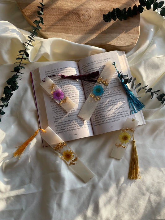Une lecture parfaitement accessoirisée
